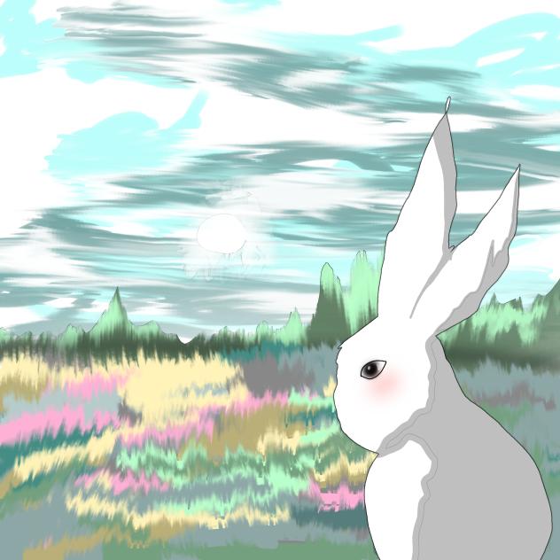 rabbit