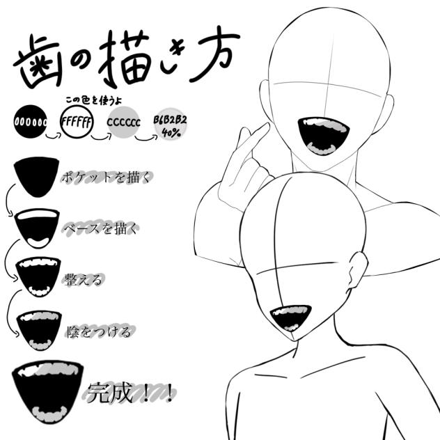 歯の描き方