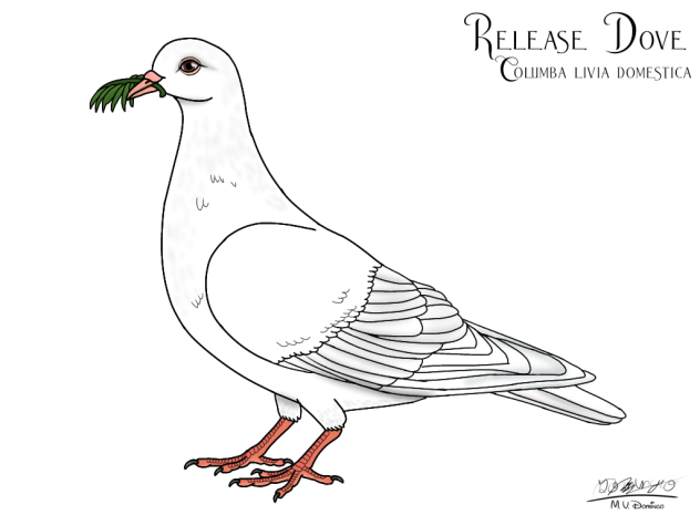 Release Dove