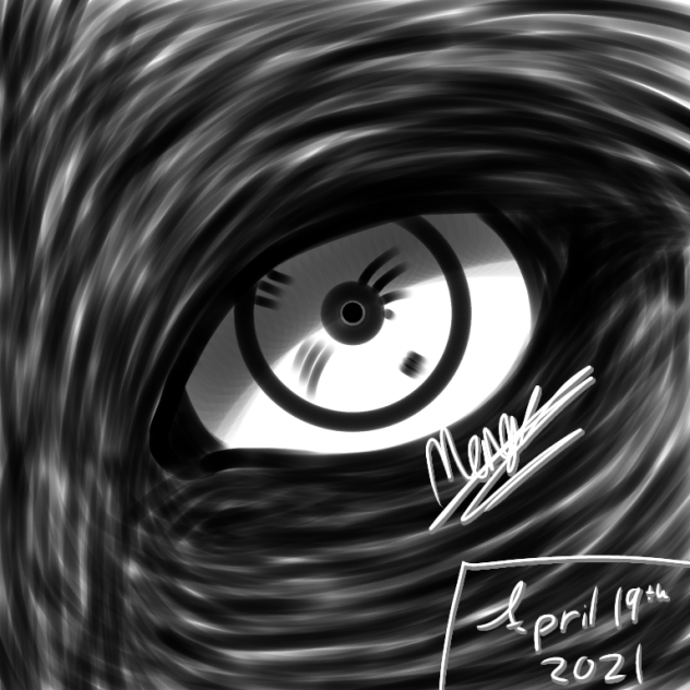 Le wolf eye