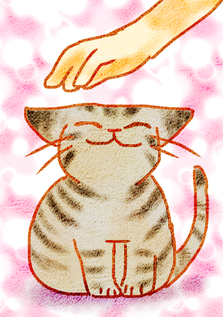うちの猫