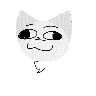 silly cat