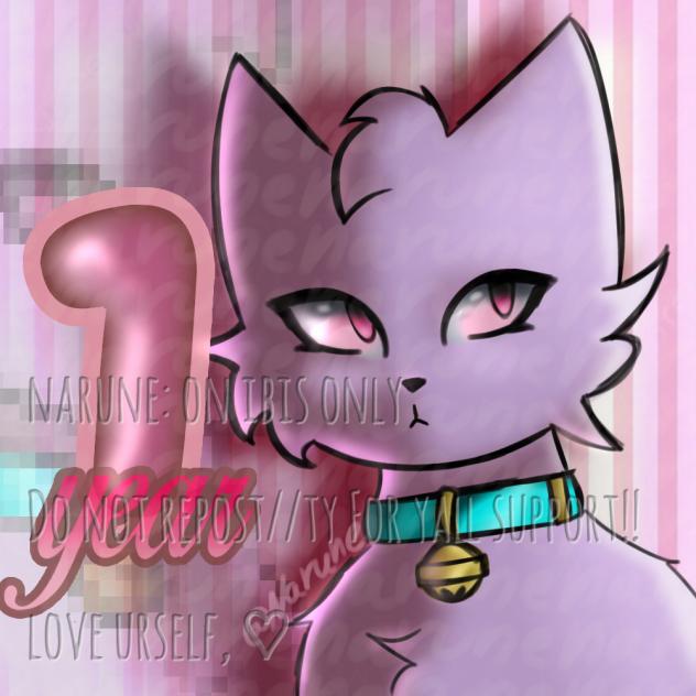 ✵𝟏 𝒚𝒆𝒂𝒓 𝒊𝒏 𝒊𝒃𝒊𝒔‼️