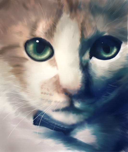 愛猫4