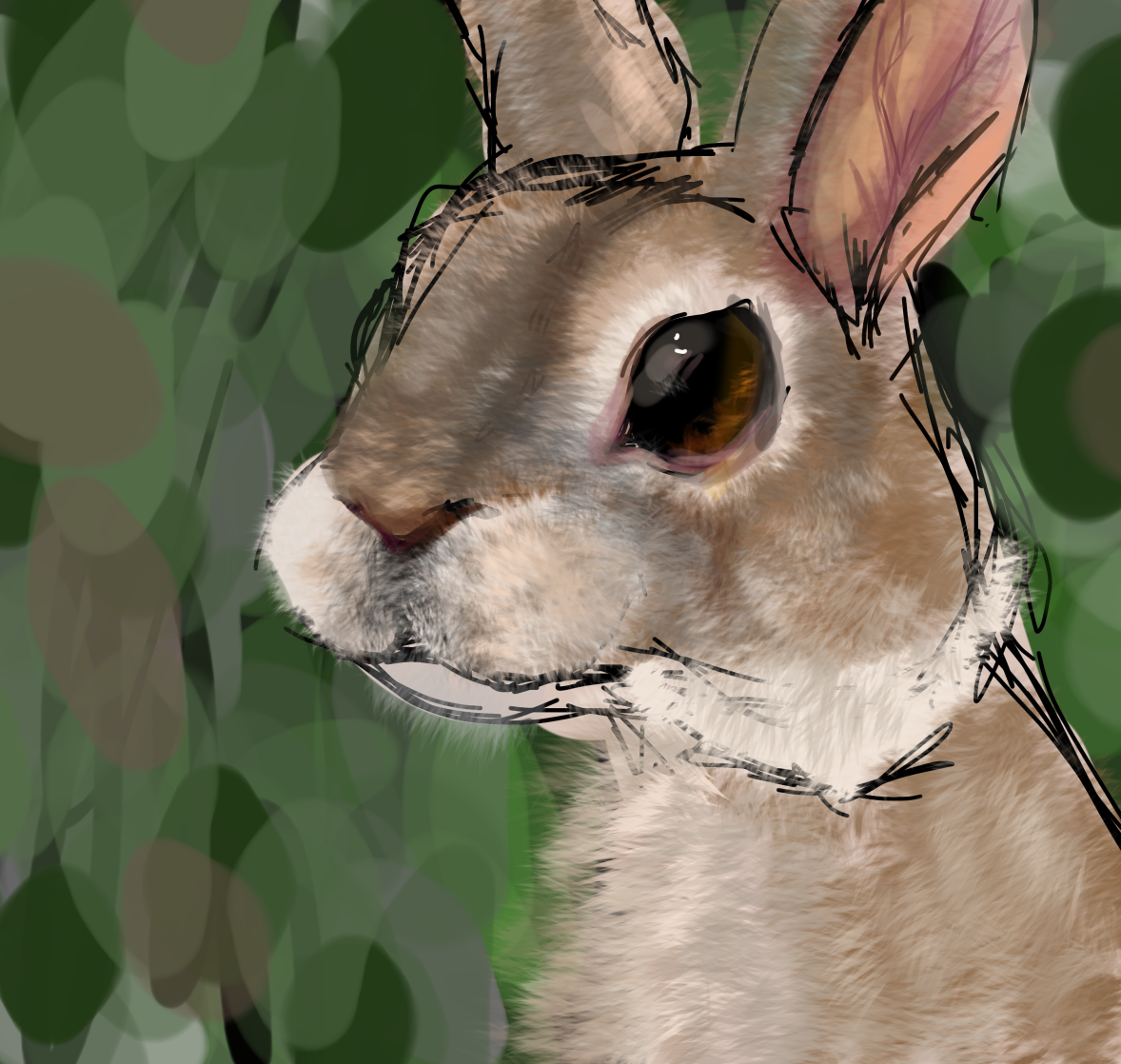 Rabbit - ibisPaint