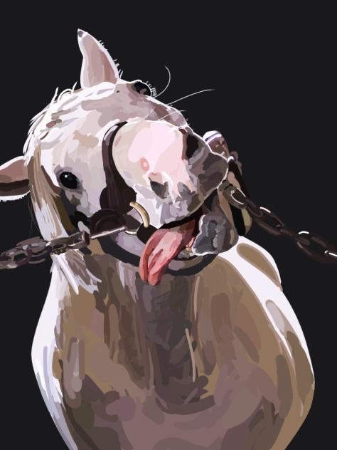 ゴールドシップ