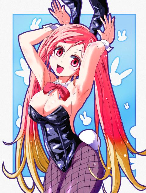 bunny2