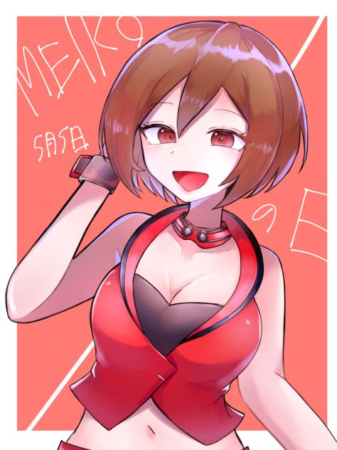 めいこのひ