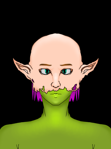 Elf - ibisPaint