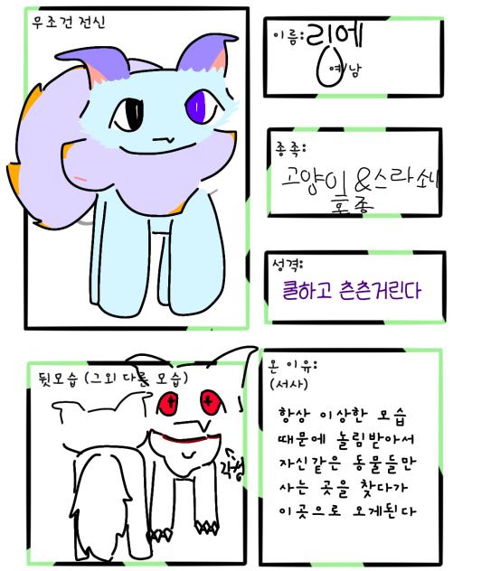 원더랜드 젳