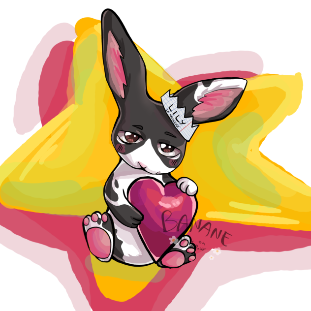 My bunny