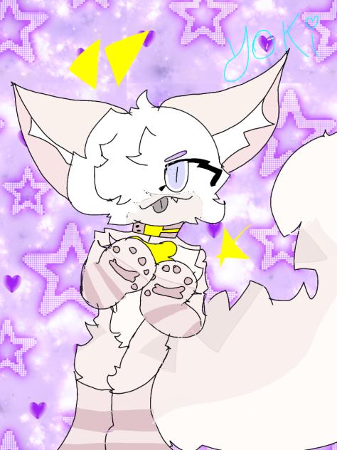 yoki!