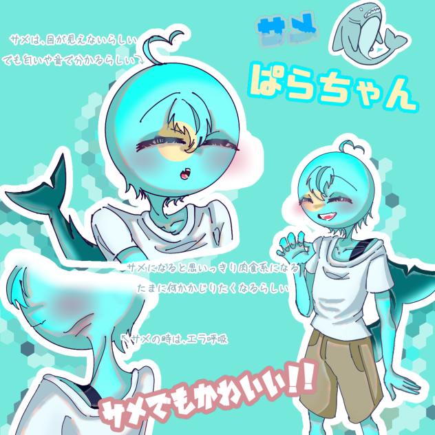サメぱらちゃん🦈