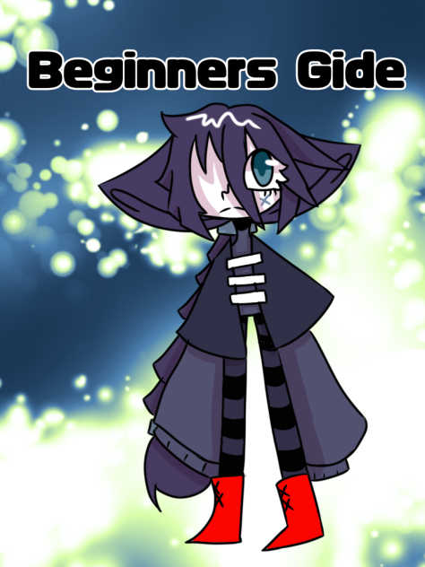 Beginners Gide cover