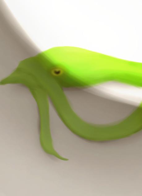 蛇🐍リメイク