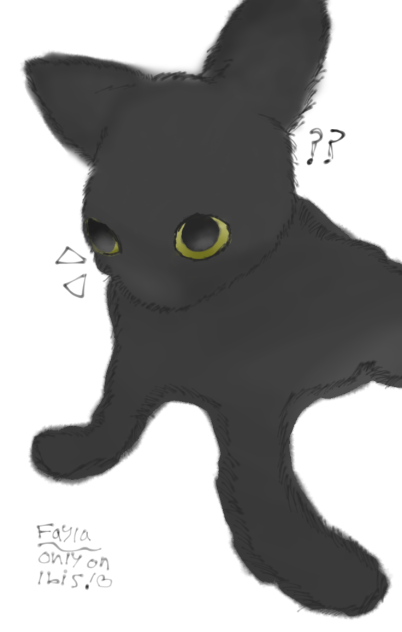 🖤🐈‍⬛🕶
