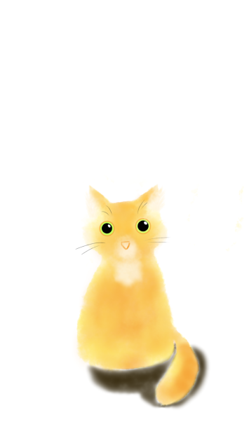 まゆ
