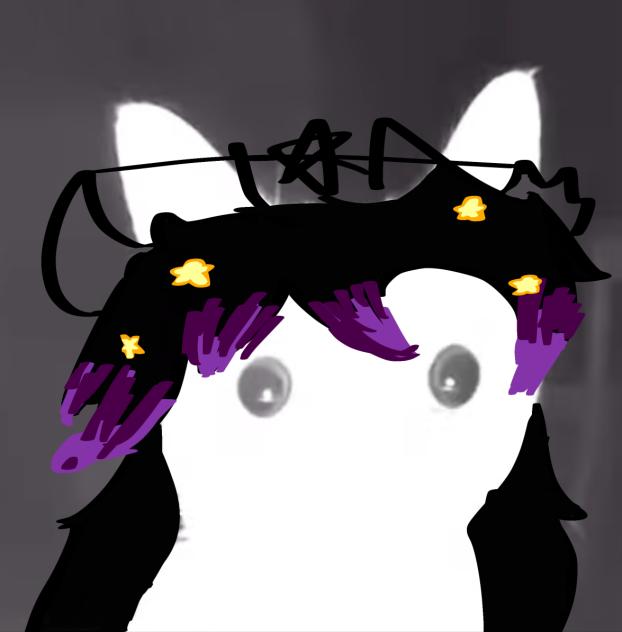 Pookies oc as a cat
