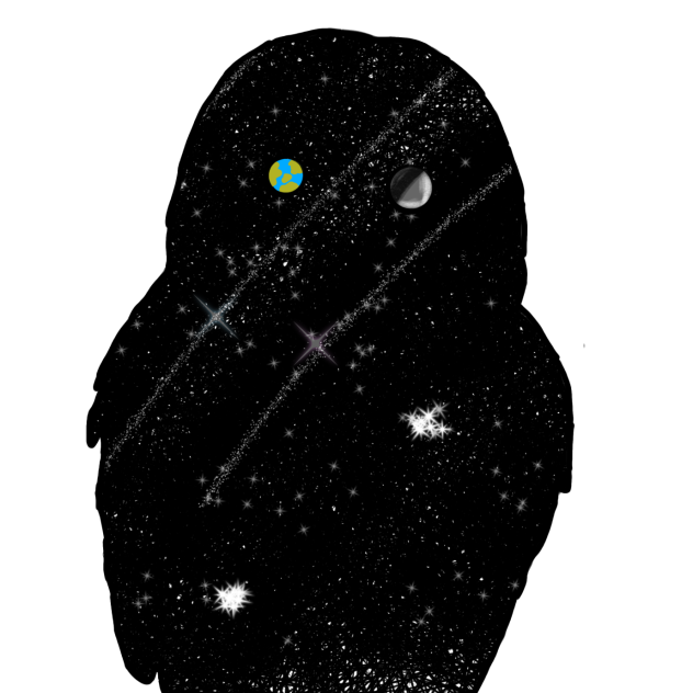 Night Owl
