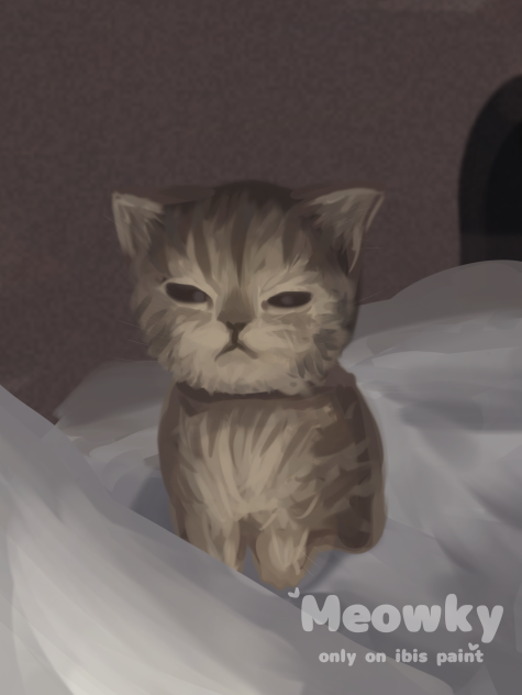 oh no he angy