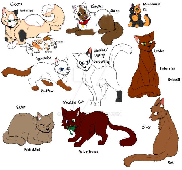 Some ShadowClan ocs