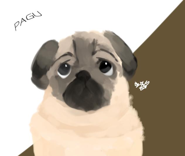 PAGU