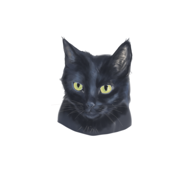 My cat - ibisPaint