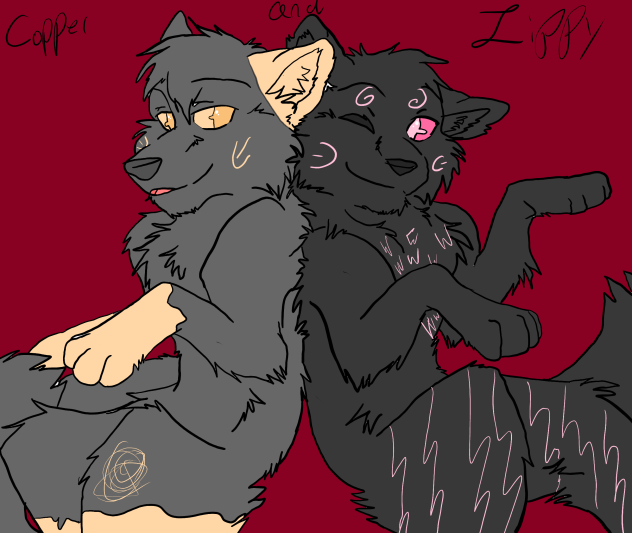 THE TWINS [ 2 ]