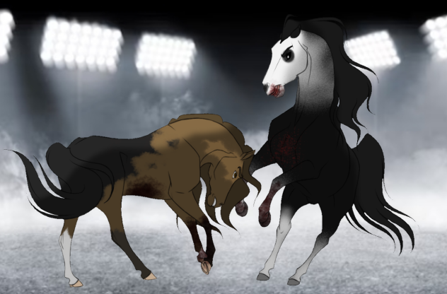 - The Duel between Cousins -
