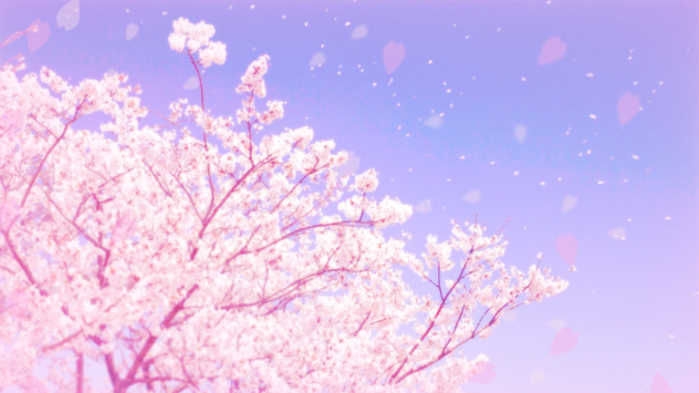 Free wallpaper and background