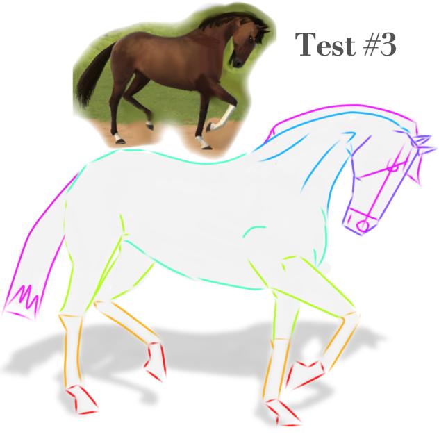 test #3Anatomy