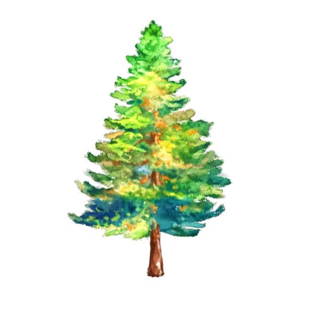 Tree (Watercolour)