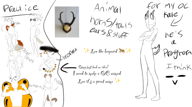 For anyone who needs help w OC animals