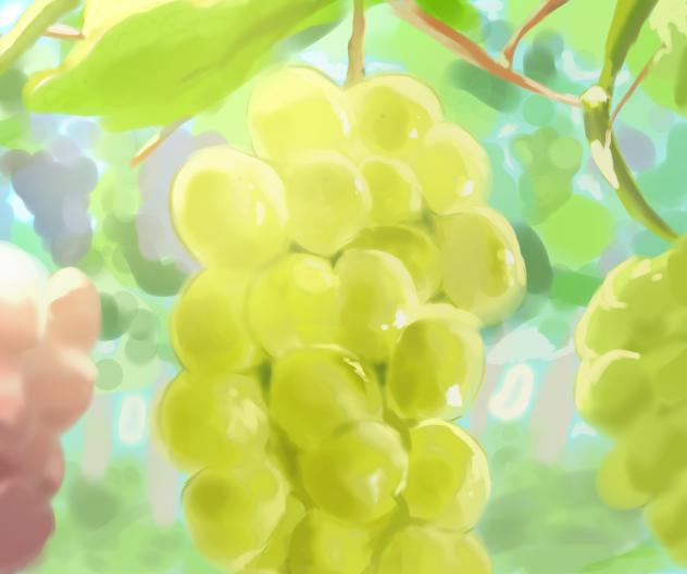 ぶどうが実る森