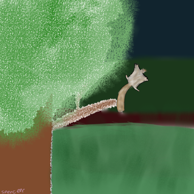 Flying squirrel - ibisPaint
