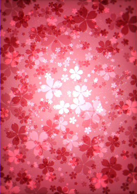 Cherry Blossoms