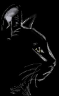 cat - ibisPaint