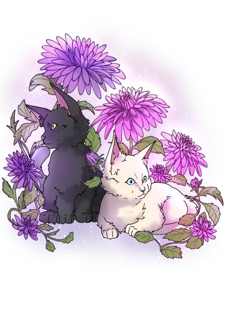 💮Dahlia Kitties(Colored)