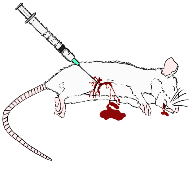 Rata