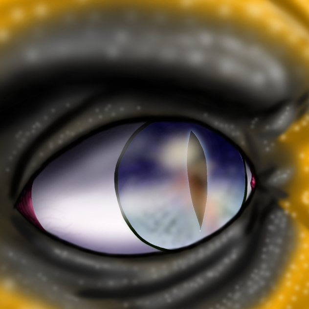 The Eye Says It All