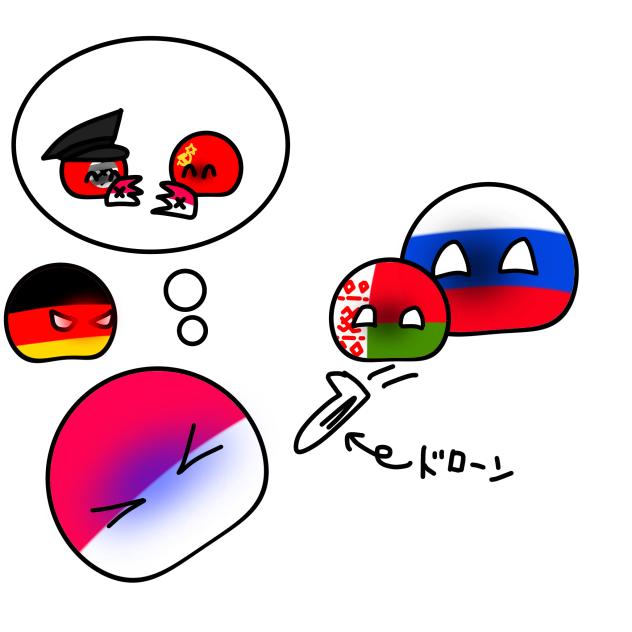 ポーランド領空侵犯