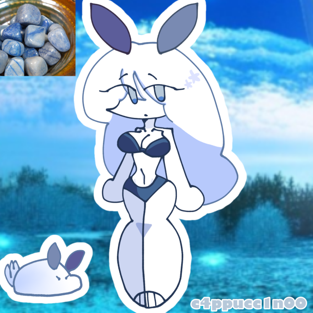 Isla ! 🐚