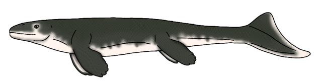Prognathodon solvayi render
