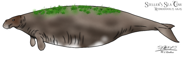 Steller's Sea Cow