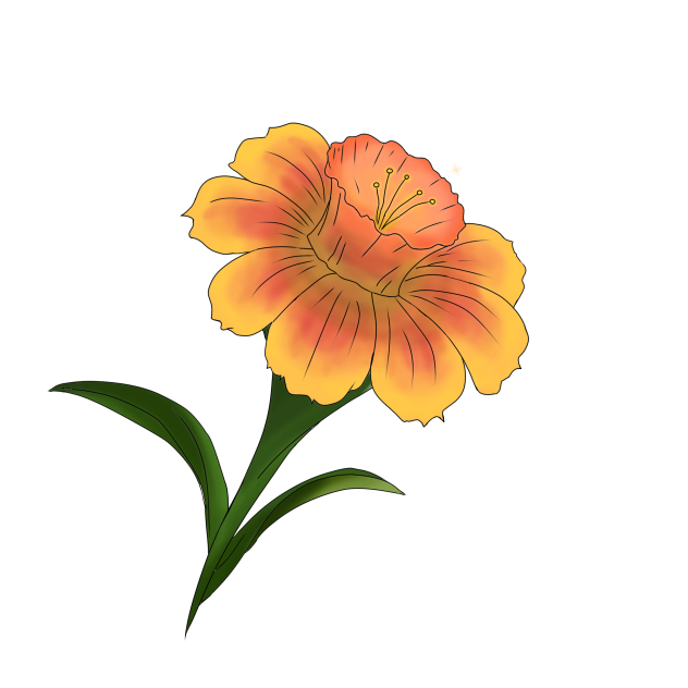 orange flower
