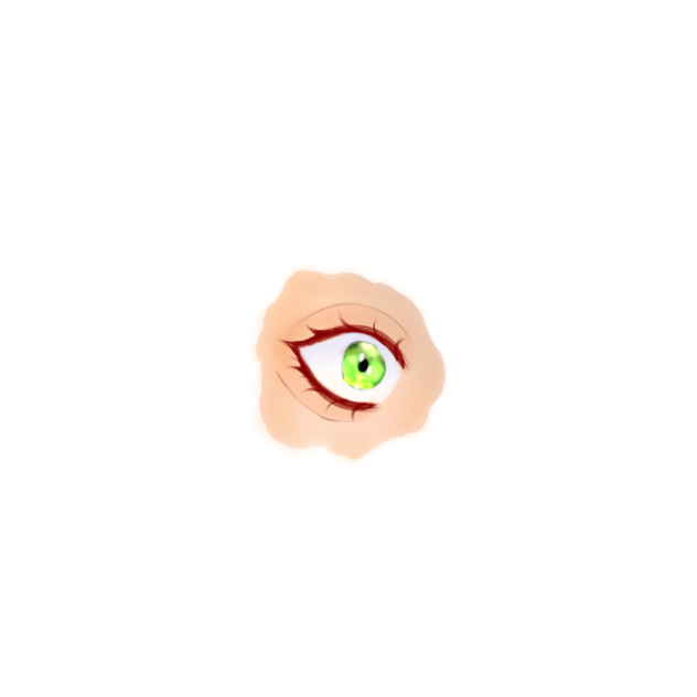 eye practice
