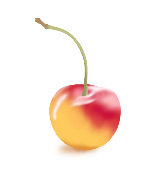 Rainier cherry 🍒