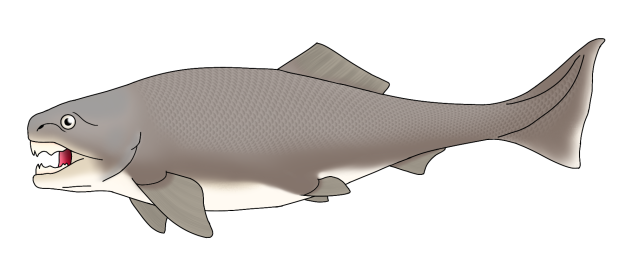 Dunkleosteus
