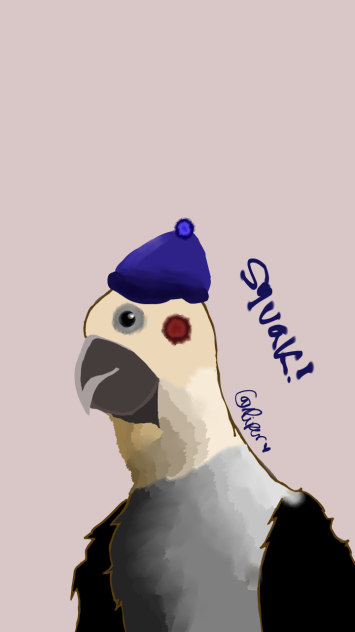 Squak! 🦜🕊️💗💖