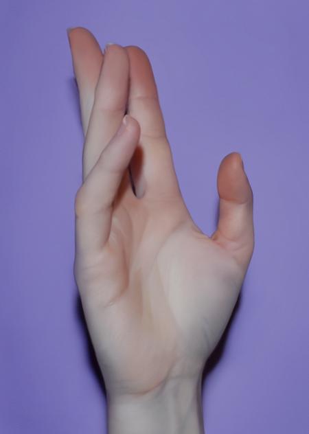 ✋🏻